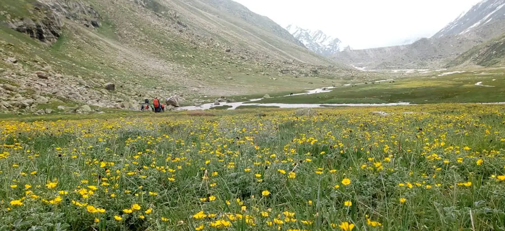 valley of flowers